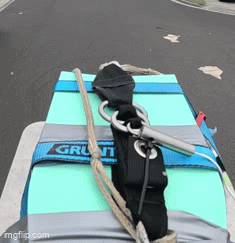 9grbby.gif